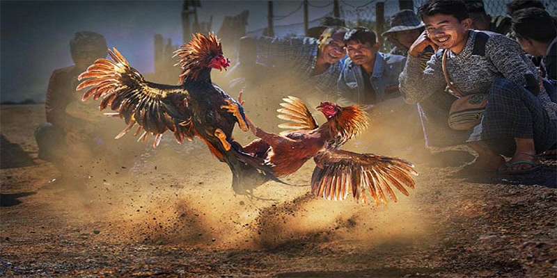 33win2 chơi bắn cá đổi thưởng