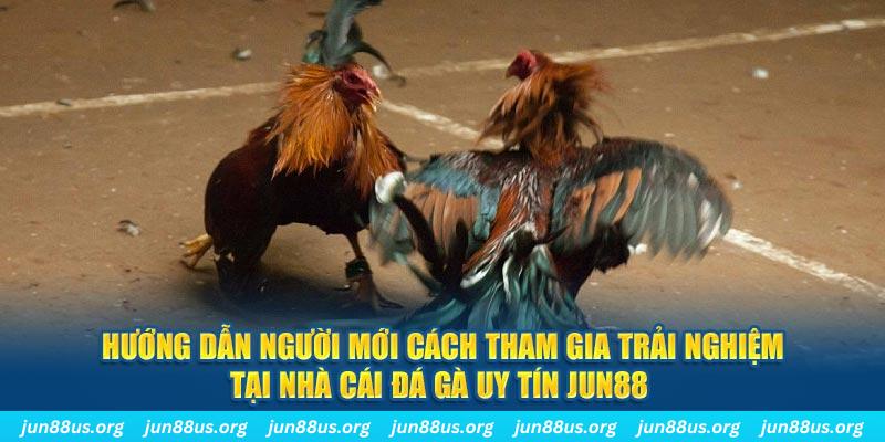 33win2 CQ9 Điện Tử