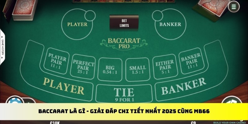 33win2 gà chọi cu cần