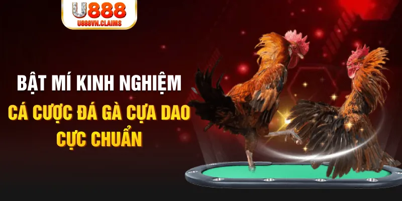 33win2 tỷ lệ cá cược châu á là gì