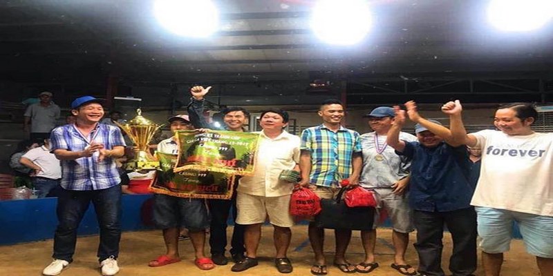 33win2 đá gà trực tiếp hôm nay