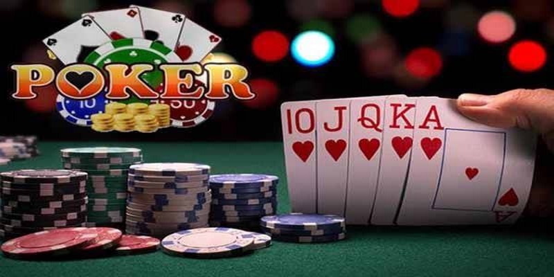 33win2 đá gà thomo trực tiếp