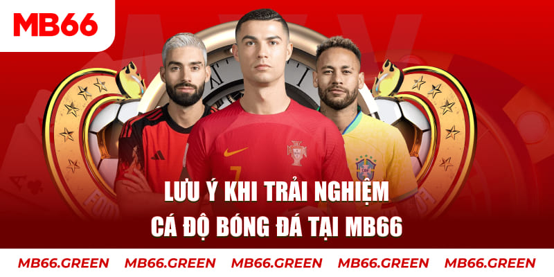 33win2 cá cược là gì