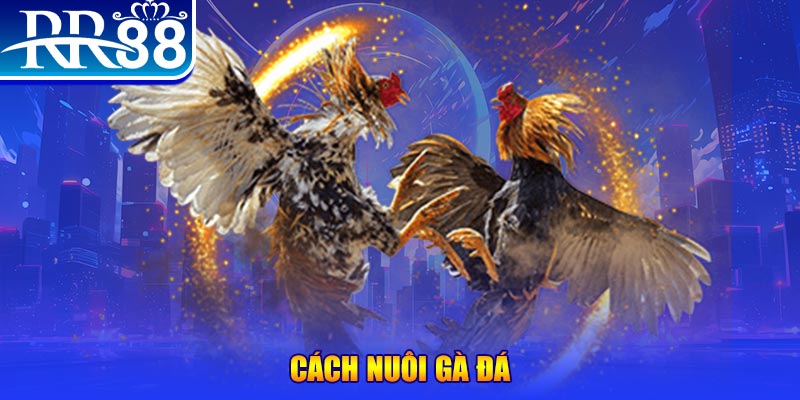 33win2 xổ số an giang
