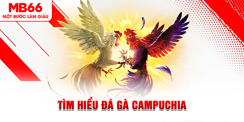 33win2 đá gà trực tiếp