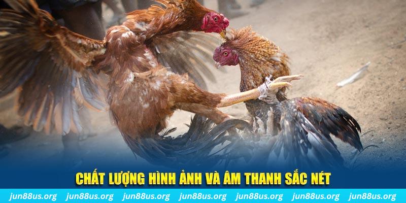 33win2 đăng nhập roulette live