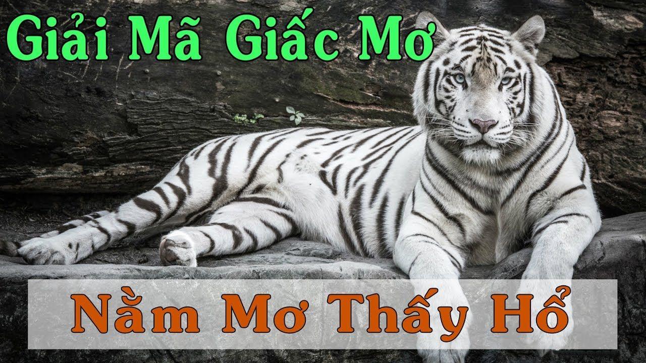 33win2 xổ số 3 miền