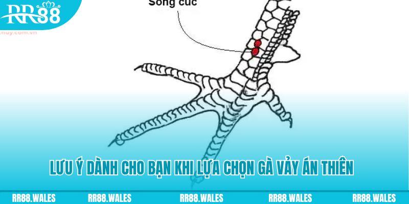 33win2 xổ số đồng nai