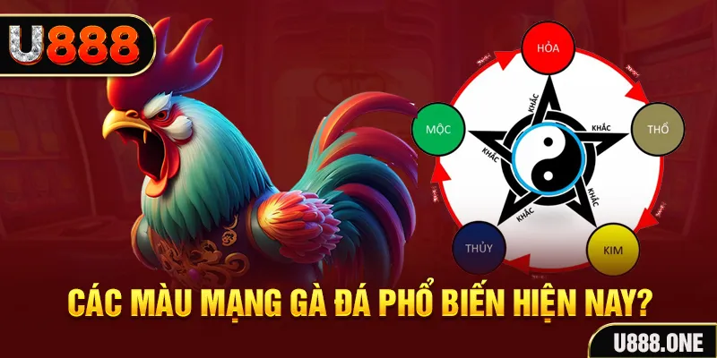 33win2 trực tiếp đá gà 88
