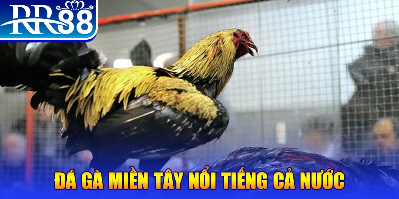 33win2 JILI Game Bài 3d