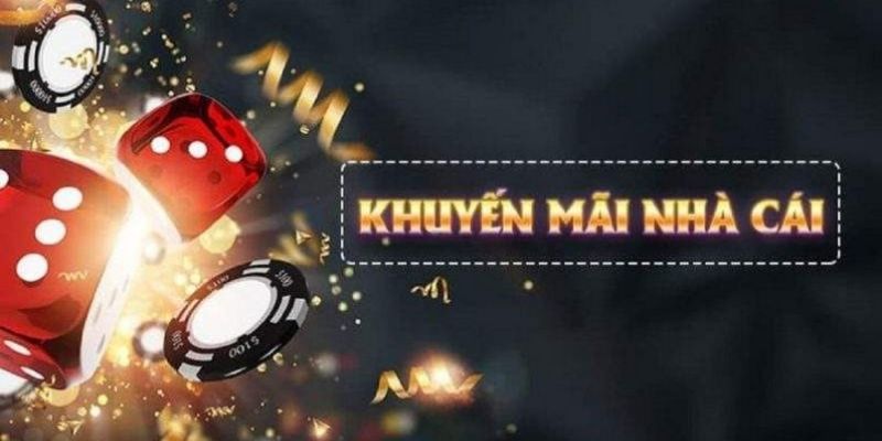 33win2 what is live dealer casino