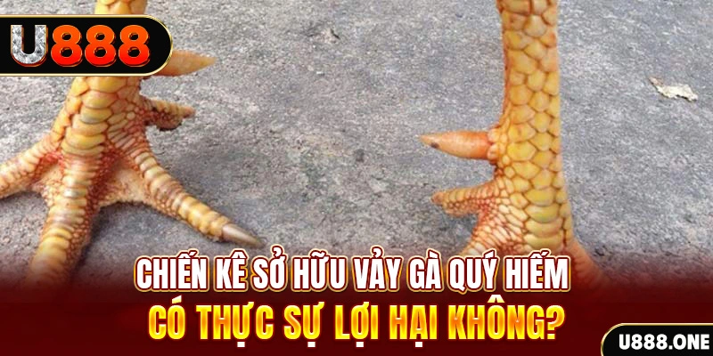 33win2 nohu .mx nổ hủ là gì