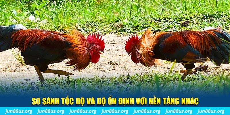 33win2 đá gà hôm nay