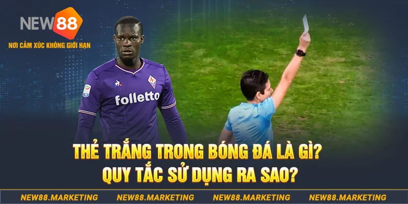 33win2 gà chọi mộc hóa
