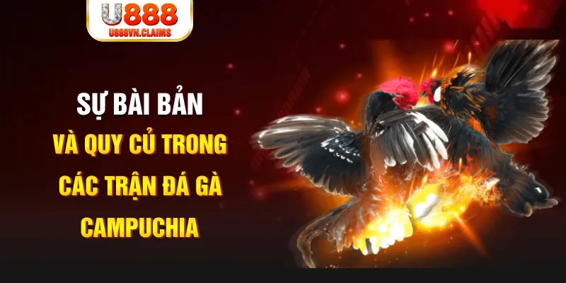 33win2 YGR Điện Tử
