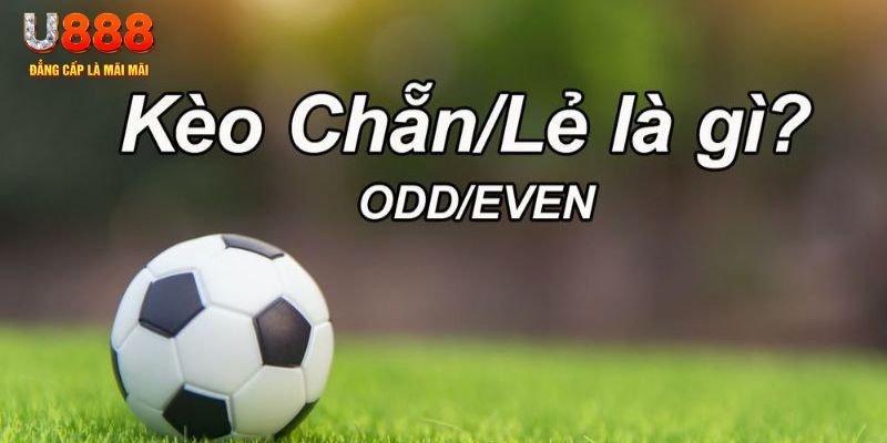 33win2 đăng nhập poker hôm nay