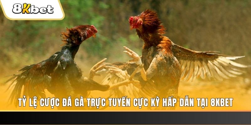33win2 xổ số trực tiếp miền bắc