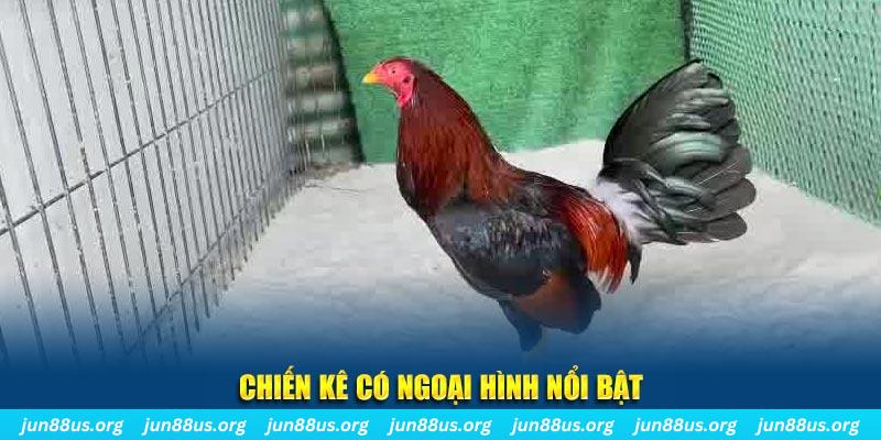 33win2 chạy quảng cáo cho game bài bị phạt như thế nào