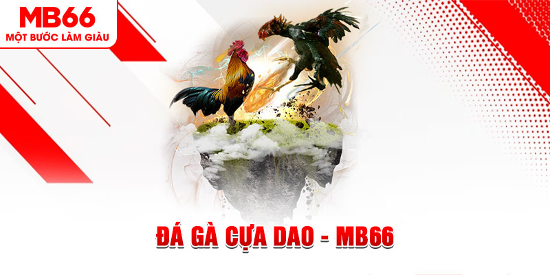 33win2 đá gà sv388 gold
