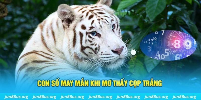 33win2 đá gà trực tiếp 88